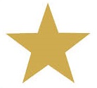 Lifetime Achievement icon