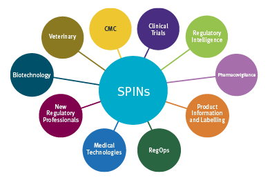 SPIN Networks graphic